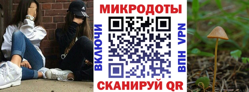 даркнет сайт Мичуринск Псилоцибиновые грибы Magic Shrooms